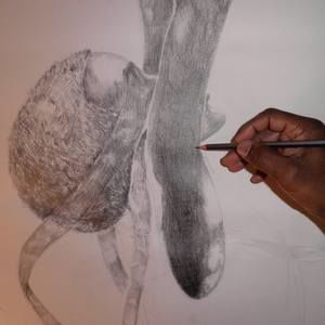 Meet your Posher, Alonzo